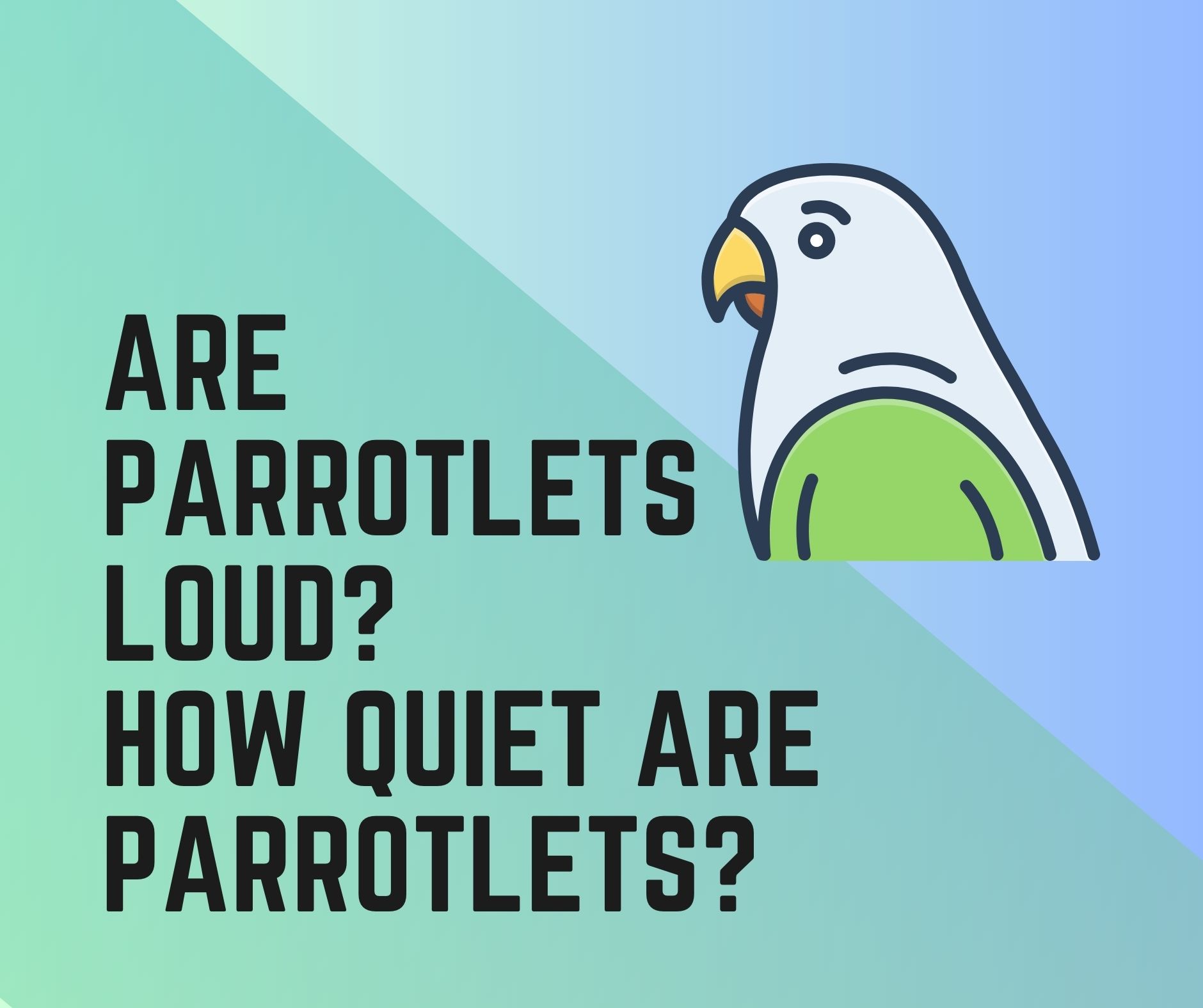 Are Parrotlets Loud? How Quiet Are Parrotlets?
